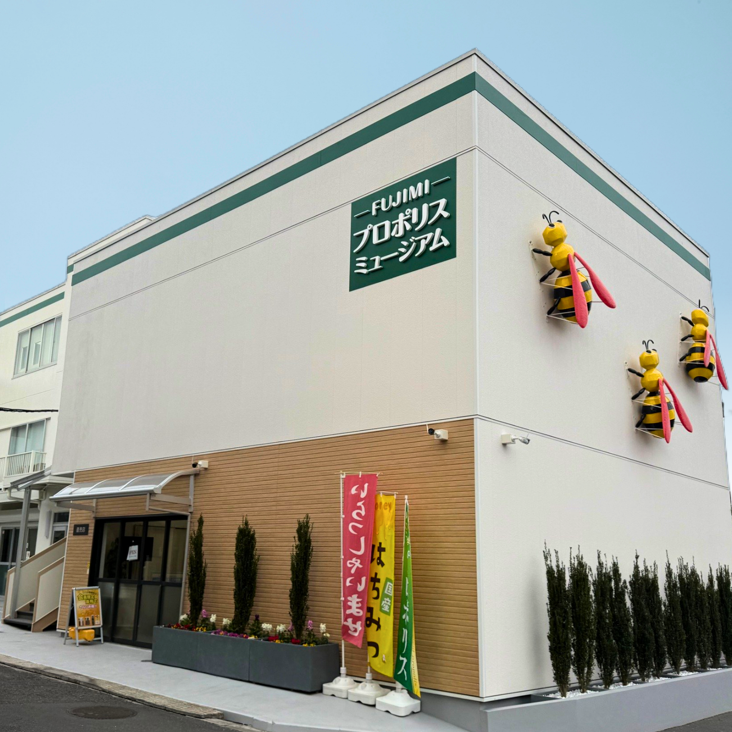 プロポリスミュージアムをオープンしました